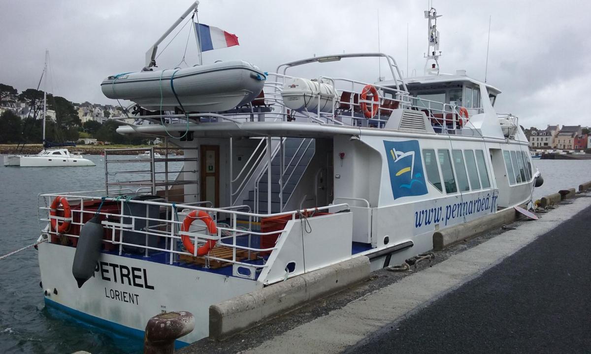 Petrel a