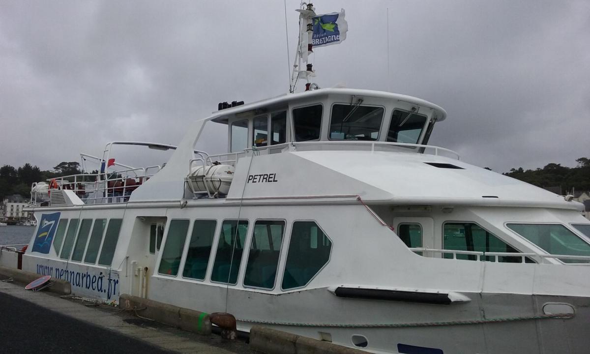 Petrel b