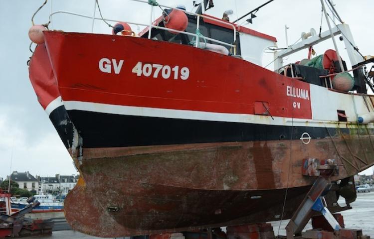 Elluma gv407019