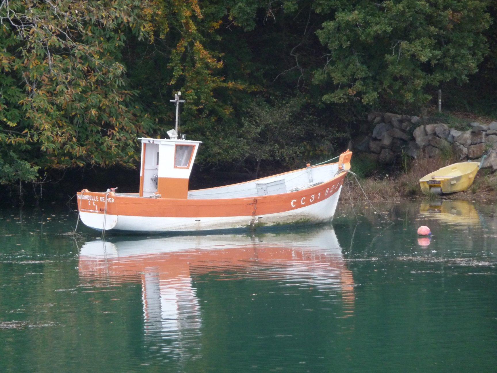 Hirondelle de mer d fabrice roperch